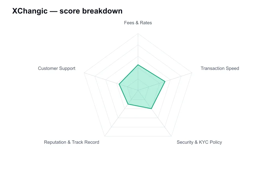 XChangic score breakdown by criterion, shown as a radar chart