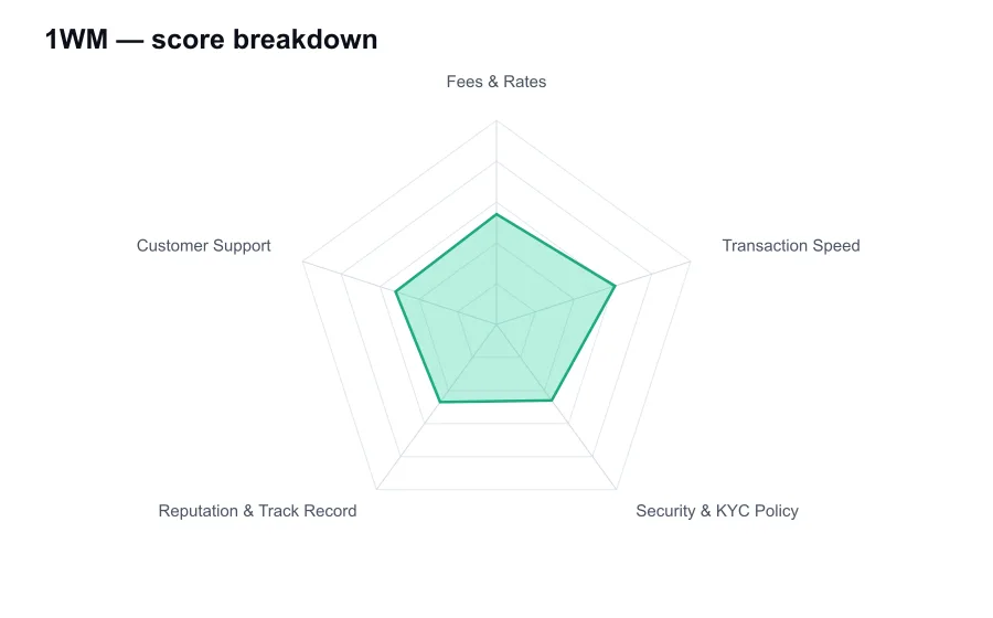 1WM score breakdown by criterion, shown as a radar chart